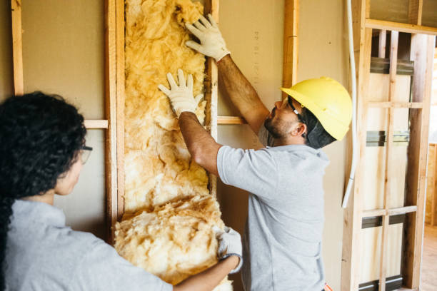 Best Energy-efficient Insulation  in Rockwood, TN