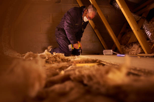 Best Best Insulation Companies  in Rockwood, TN